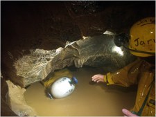 Thumbnail of photo from this article